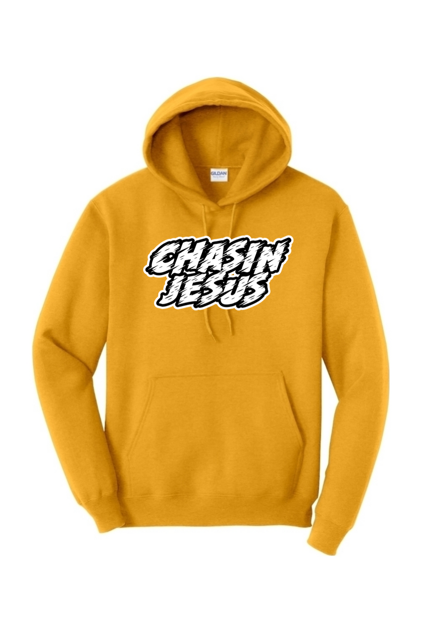 Chasin' Jesus (DTF White) Hoodie